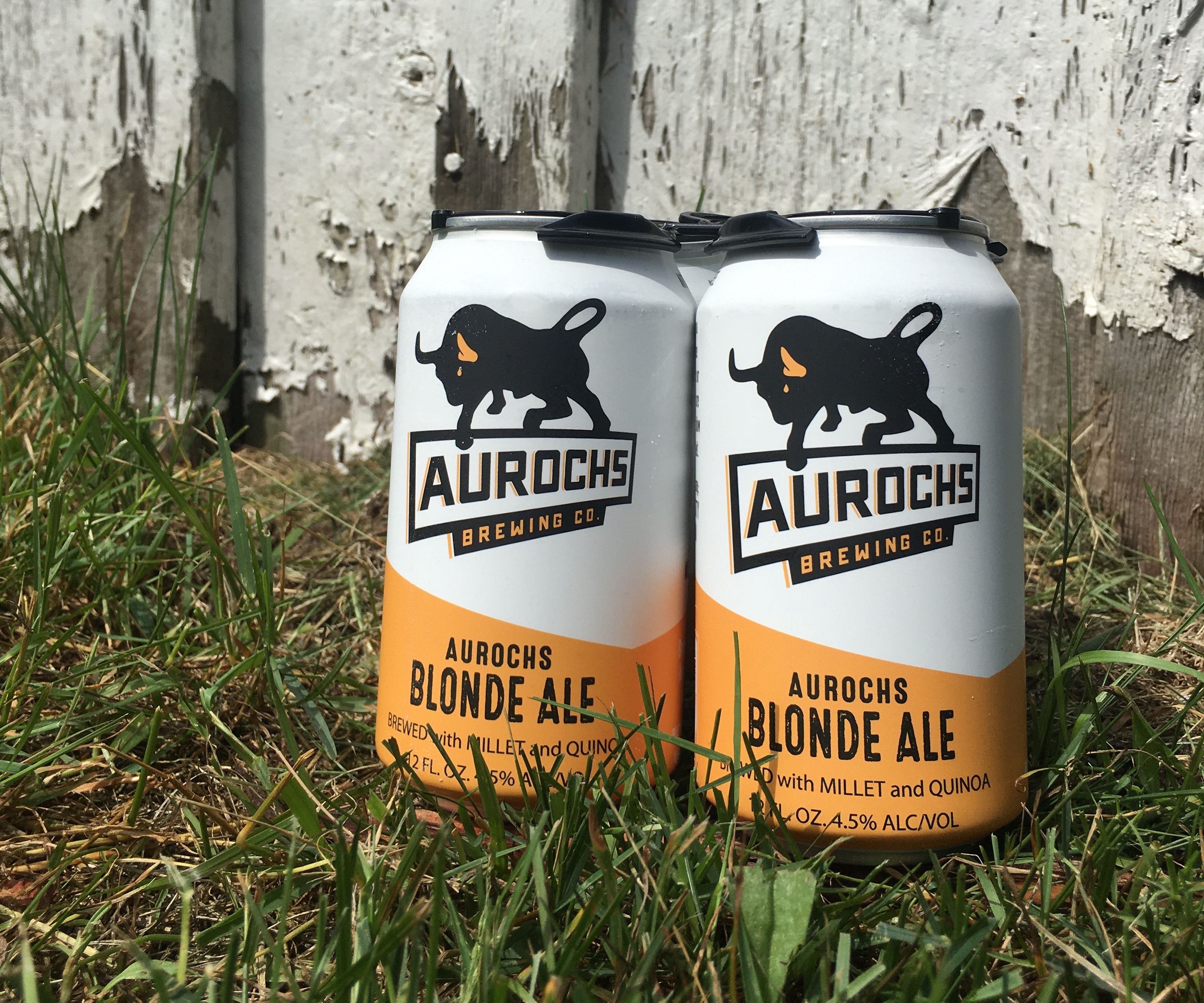Picture of Aurochs Blonde Ale